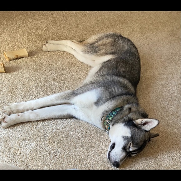 Meet your Posher, Kimberly - Picture 3 of 6